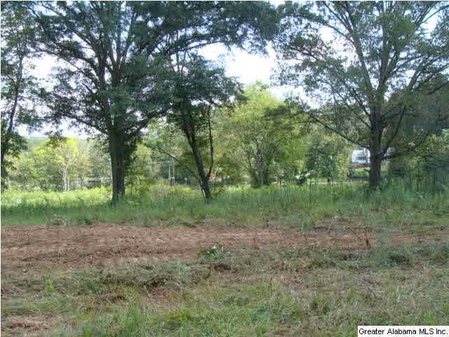0 Eastern Valley Road, Unit 9 2 AC Bessemer, AL 35020 - Photo 2 of 3