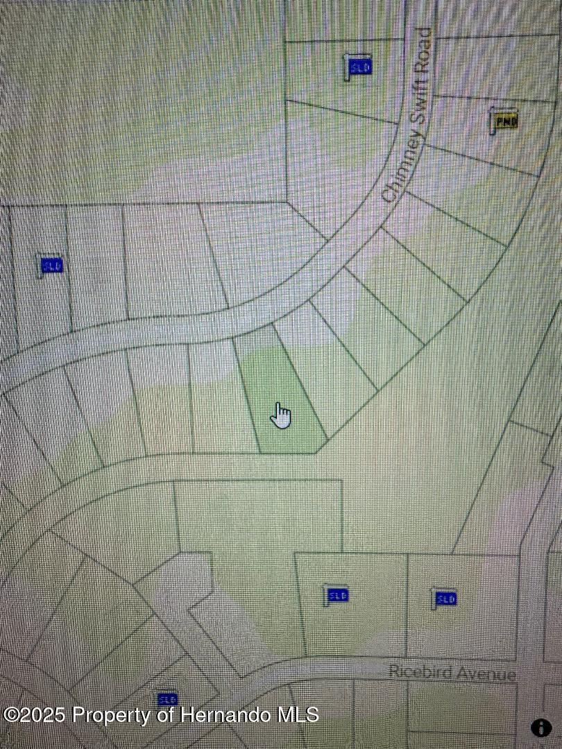 14388 Chimney Swift Road Brooksville, FL 34614 - Photo 4 of 5 thumbnail (2)