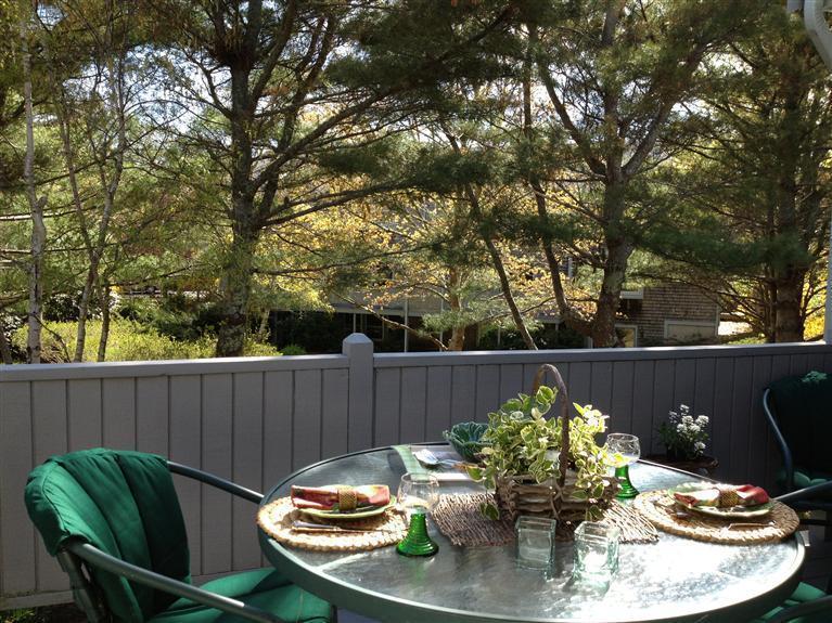 403 Orleans Road, Unit A North Chatham, MA 02650 - Photo 22 of 36 Private and spacious deck !