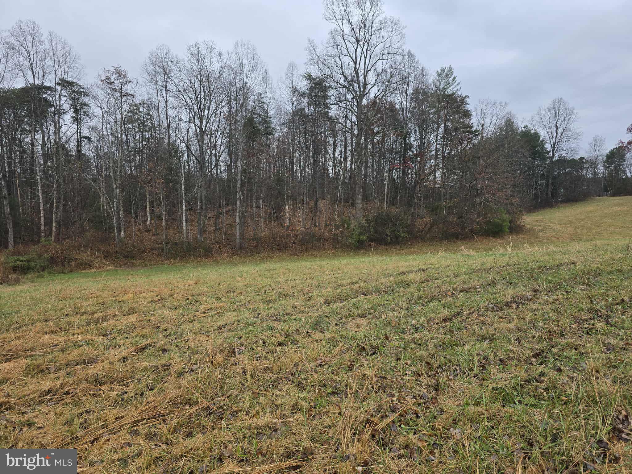 729 Celt Road Stanardsville, VA 22973 - Photo 11 of 28