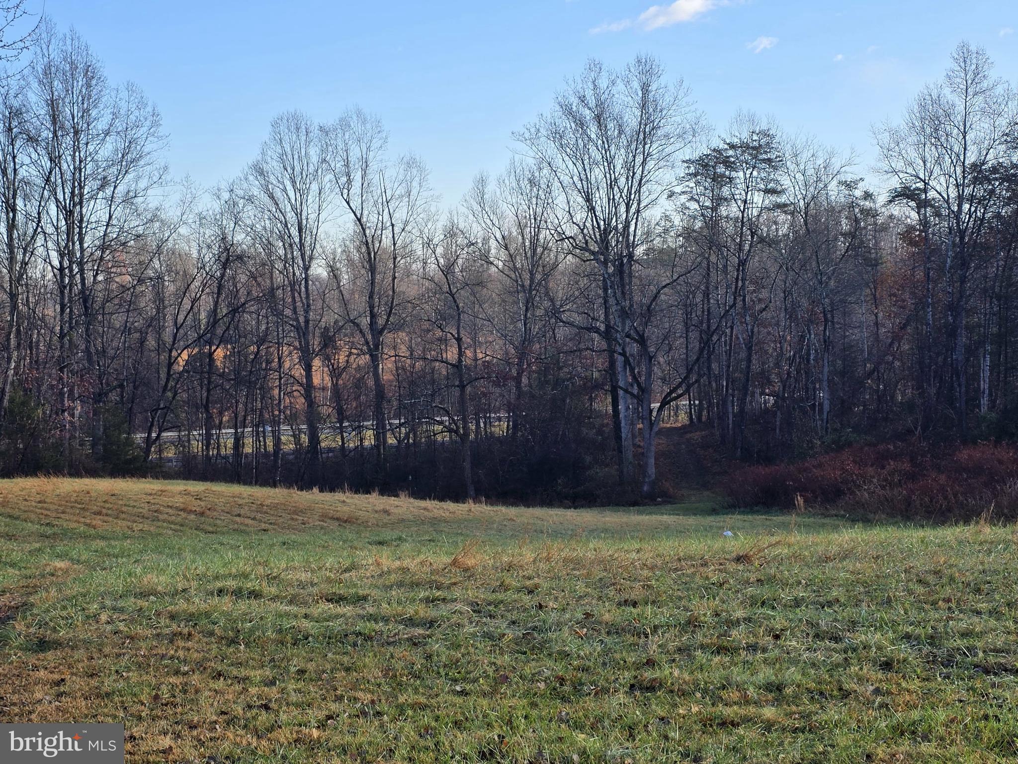 729 Celt Road Stanardsville, VA 22973 - Photo 13 of 28