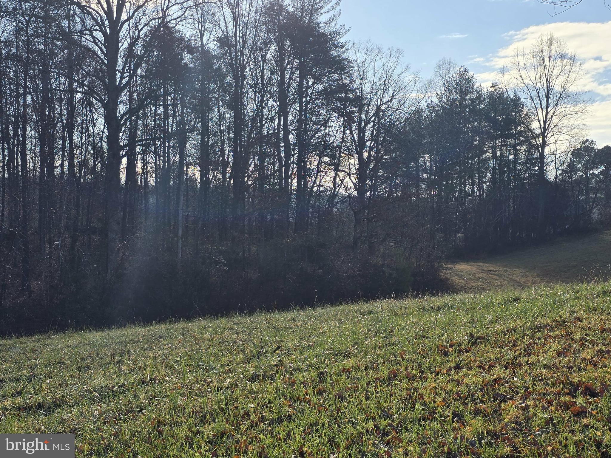 729 Celt Road Stanardsville, VA 22973 - Photo 21 of 28