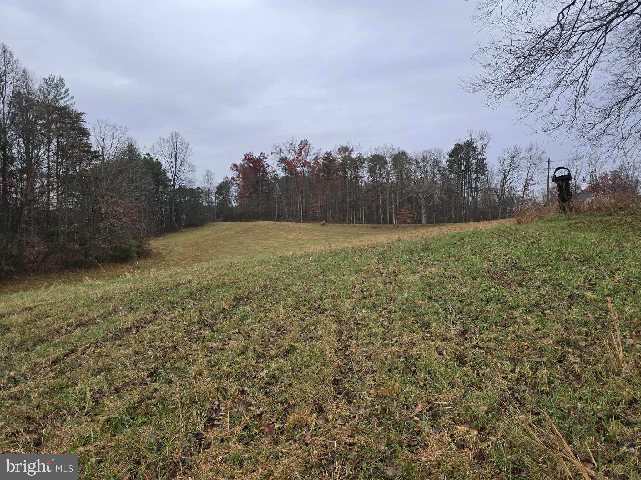 729 Celt Road Stanardsville, VA 22973 - Photo 10 of 28