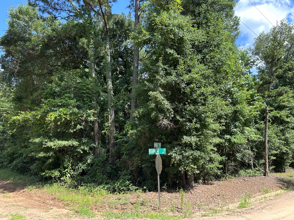 19.16-ac 19.16-ac Ramer Loop Cottonwood, AL 36320 - Photo 12 of 34