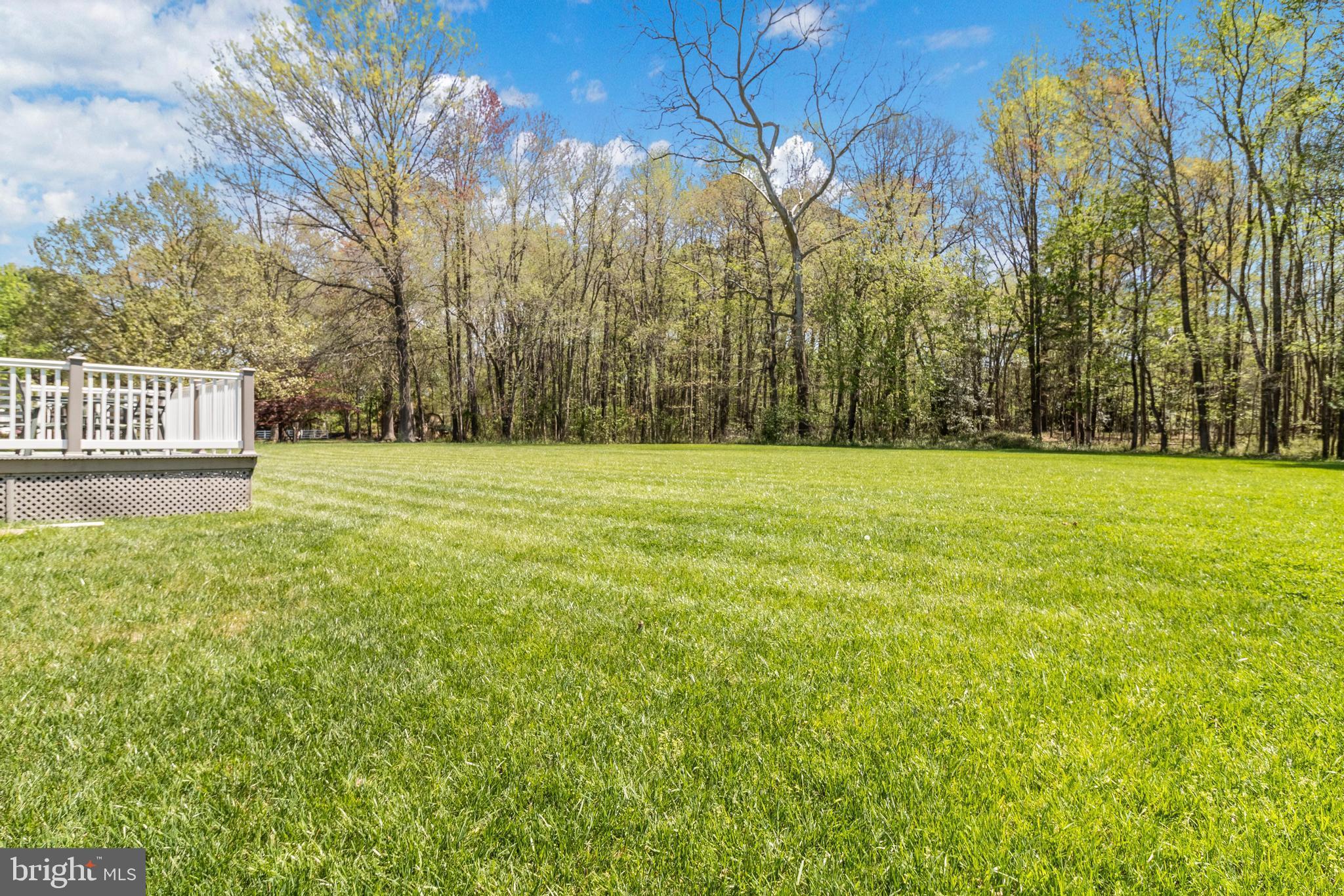 625 Clarks Run Road La Plata, MD 20646 - Photo 4 of 54 Beautiful back yard oasis sitting on 1 acre