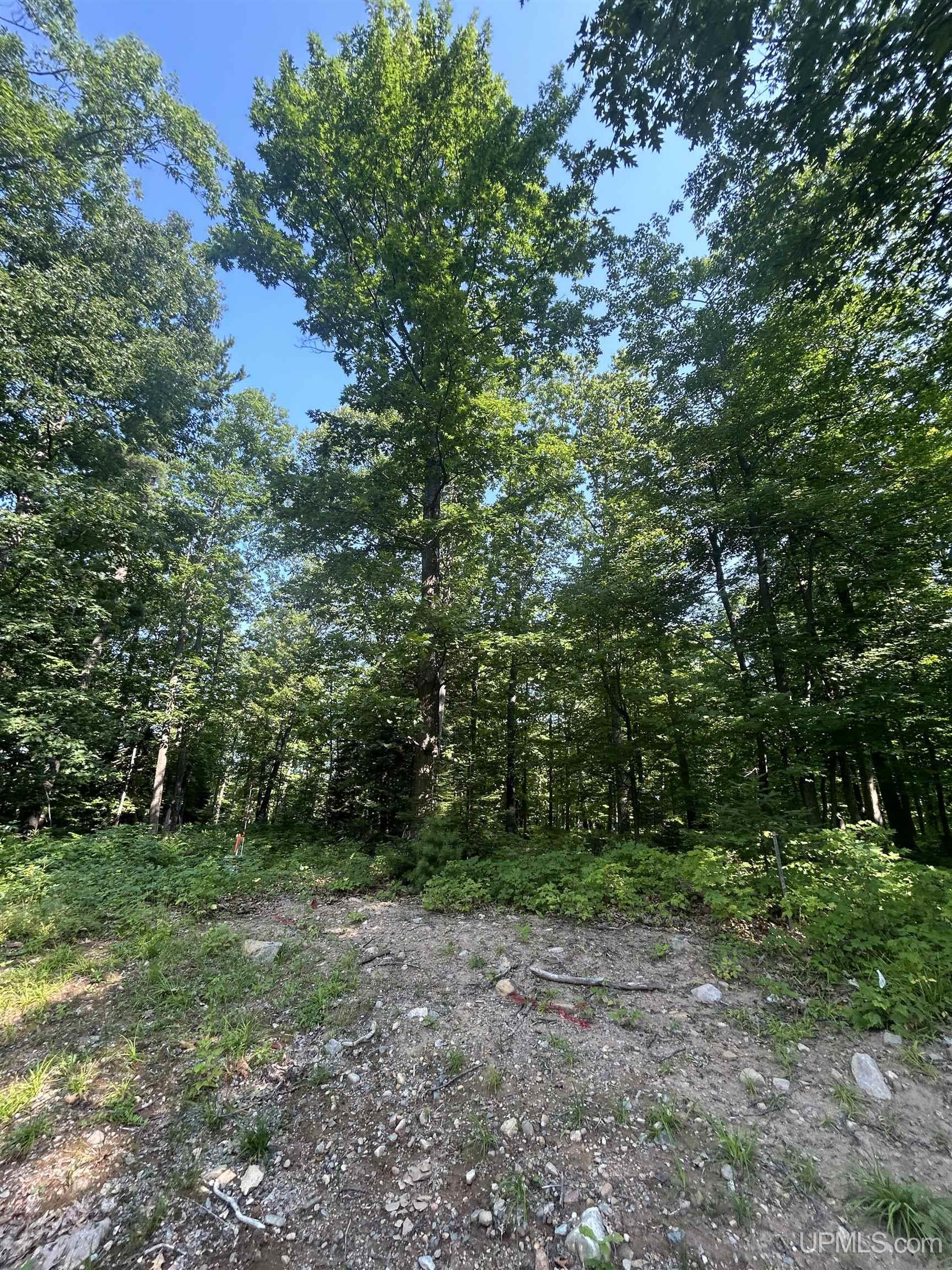 1 B Bridgeview Lane Negaunee, MI 49866 - Photo 1 of 18