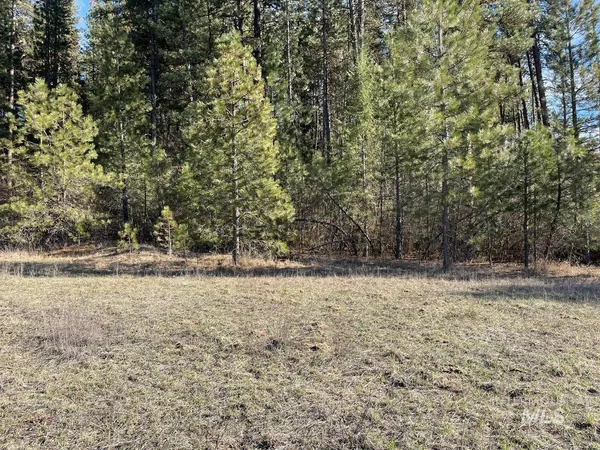 $299,000 | Tbd Meadow View Road, Garden Valley, ID 83622