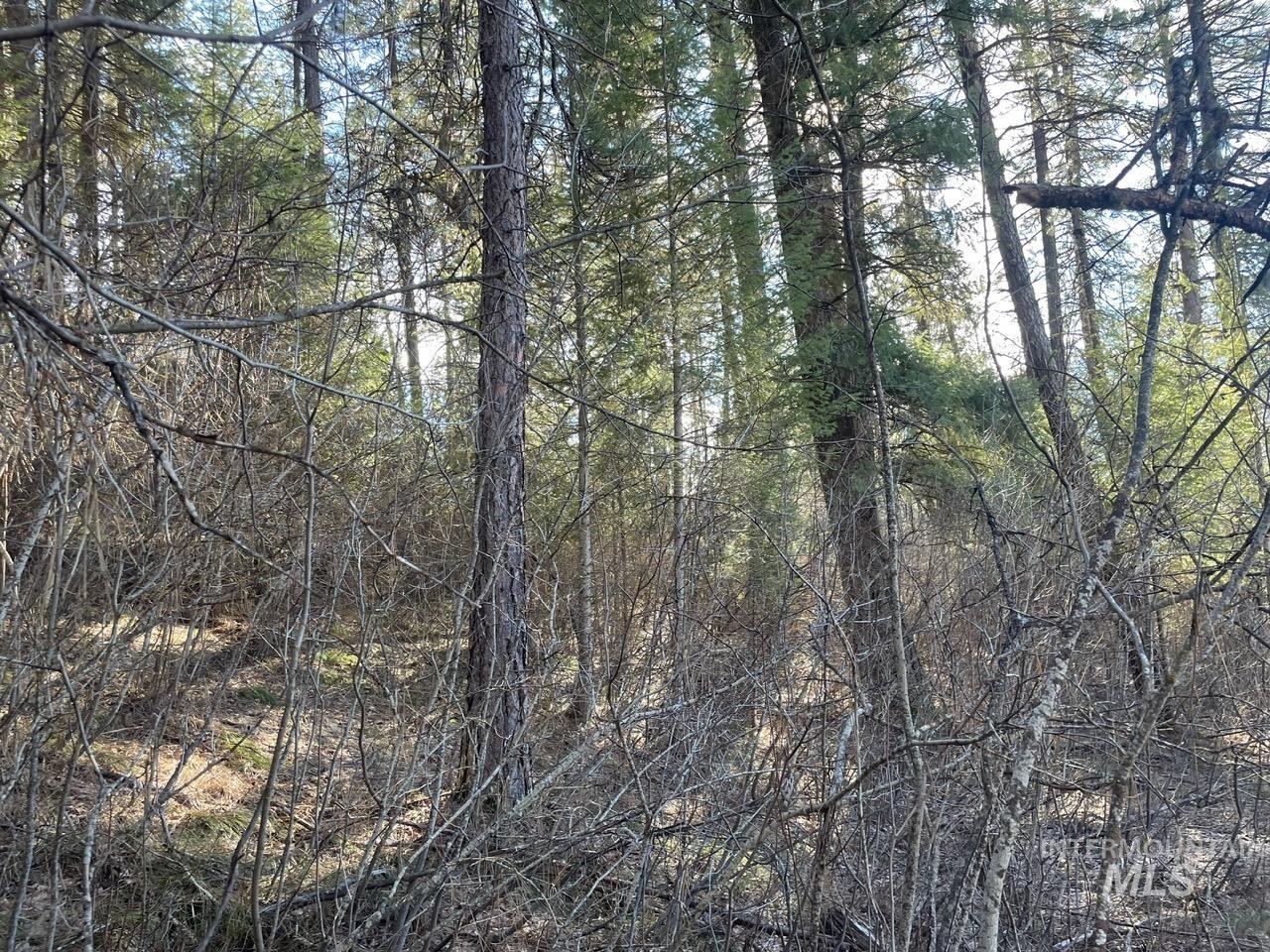 Tbd Meadow View Road Garden Valley, ID 83622 - Photo 4 of 9