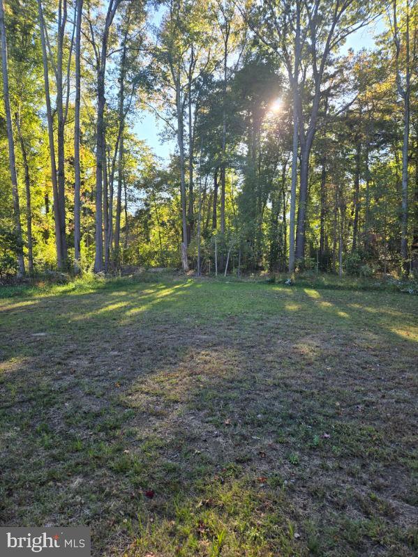 227 Forest Grove Road Colonial Beach, VA 22443 - Photo 21 of 22 a view of a park