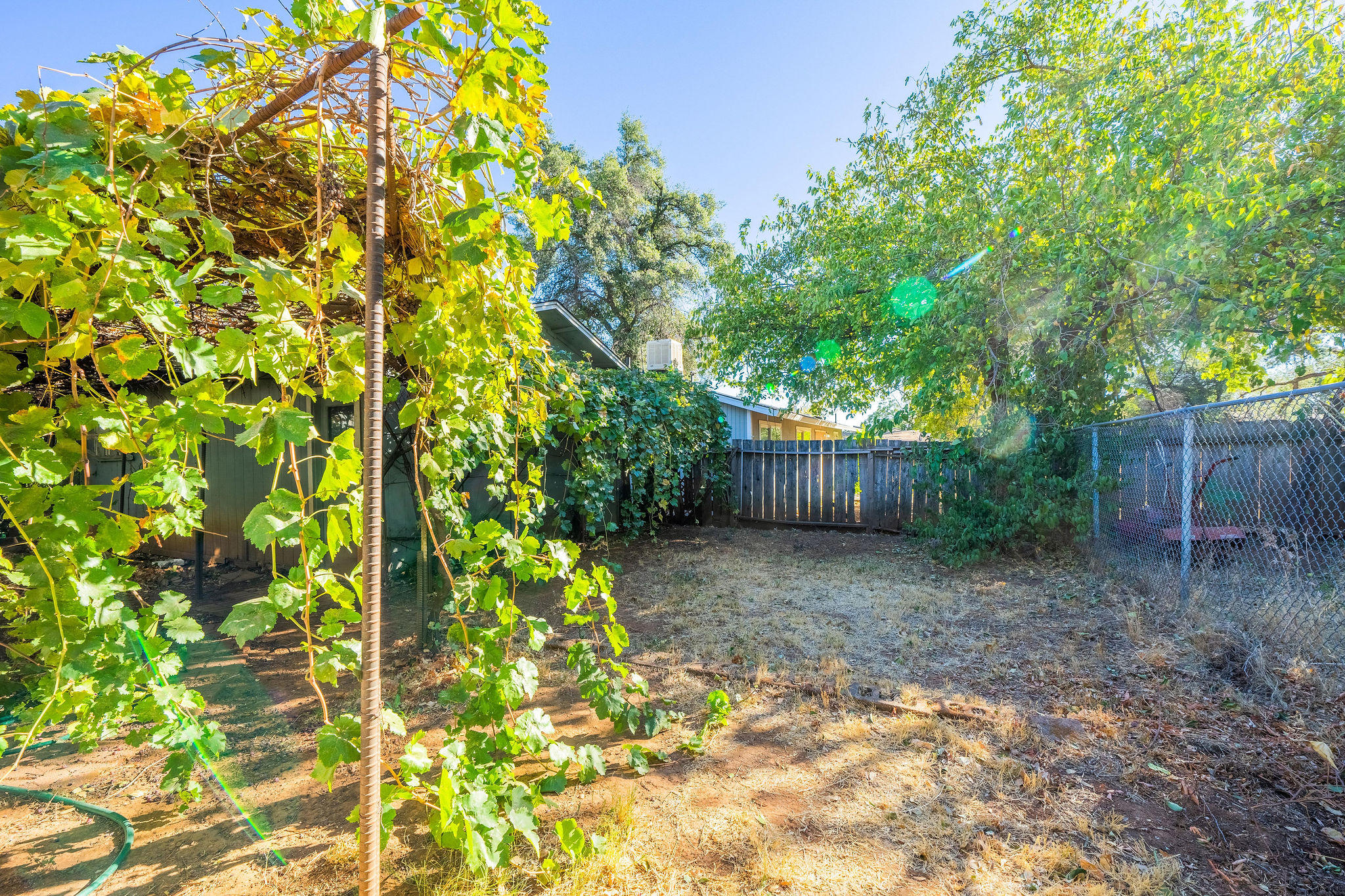 1138 Layton Road Redding, CA 96002 - Photo 20 of 22 a backyard of a house