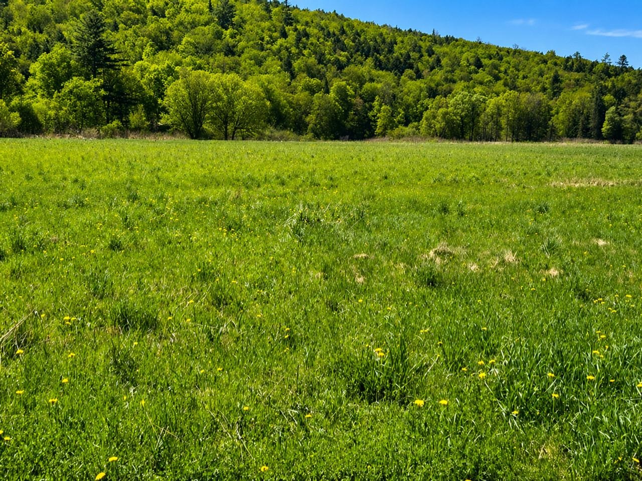 67 Worcester Village Road Worcester, VT 05682 - Photo 45 of 54