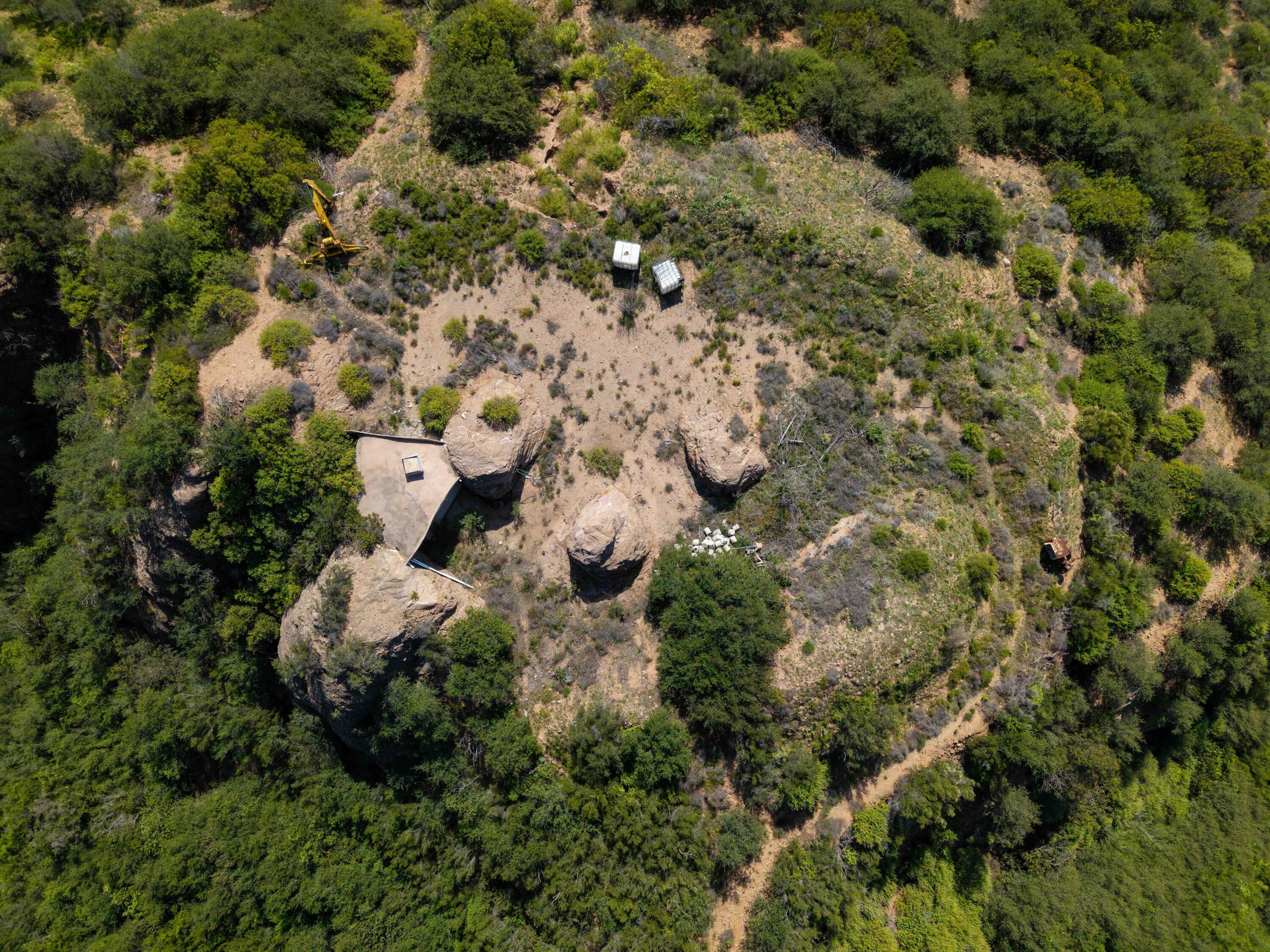 2011 North San Marcos Road Santa Barbara, CA 93105 - Photo 31 of 41 a view of a tree in a forest