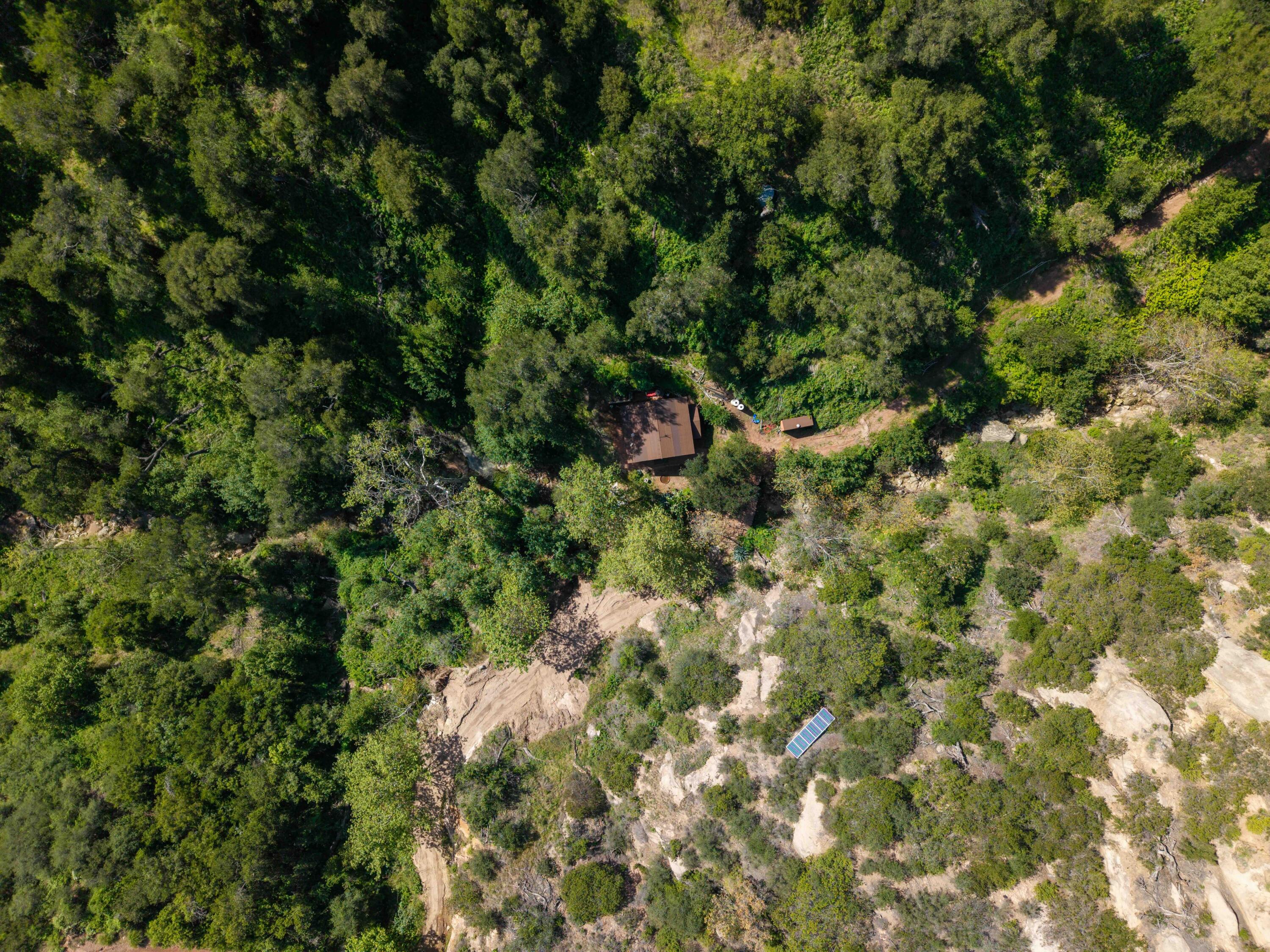 2011 North San Marcos Road Santa Barbara, CA 93105 - Photo 9 of 41 a view of a lush green forest with a tree