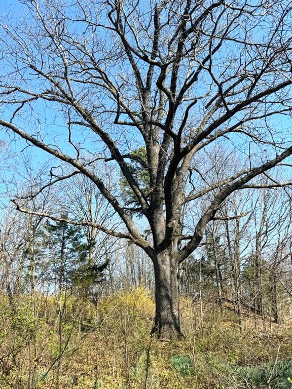 7550 East 50th Road El Dorado Springs, MO 64744 - Photo 4 of 11