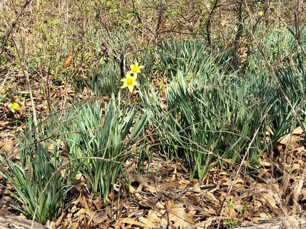 $35,000 | 7550 East 50th Road, El Dorado Springs, MO 64744