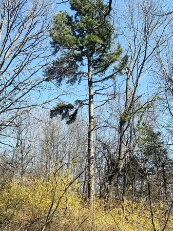 $35,000 | 7550 East 50th Road, El Dorado Springs, MO 64744