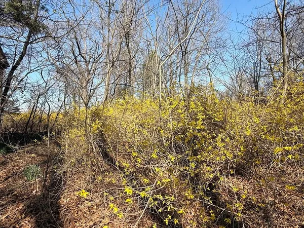 $35,000 | 7550 East 50th Road, El Dorado Springs, MO 64744