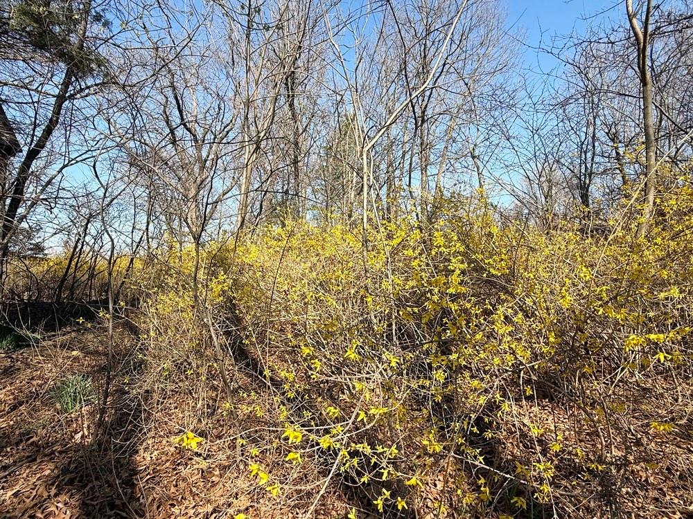 7550 East 50th Road El Dorado Springs, MO 64744 - Photo 9 of 11