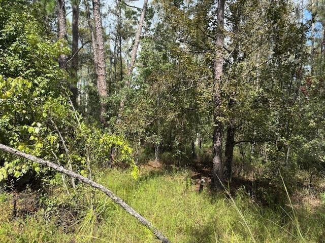 0 County Road 54 Kathleen, FL 33849 - Photo 1 of 2 Photo 1