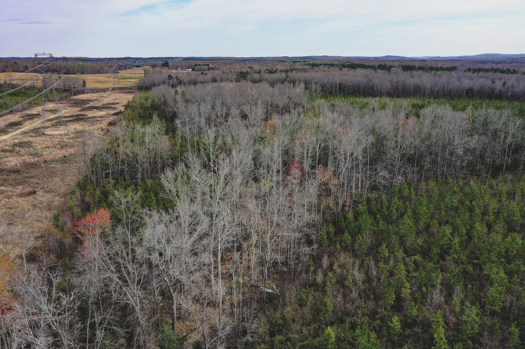 103-ac Pulliam-Tingen Mine Road Roxboro, NC 27574 - Photo 19 of 30 Photo 19