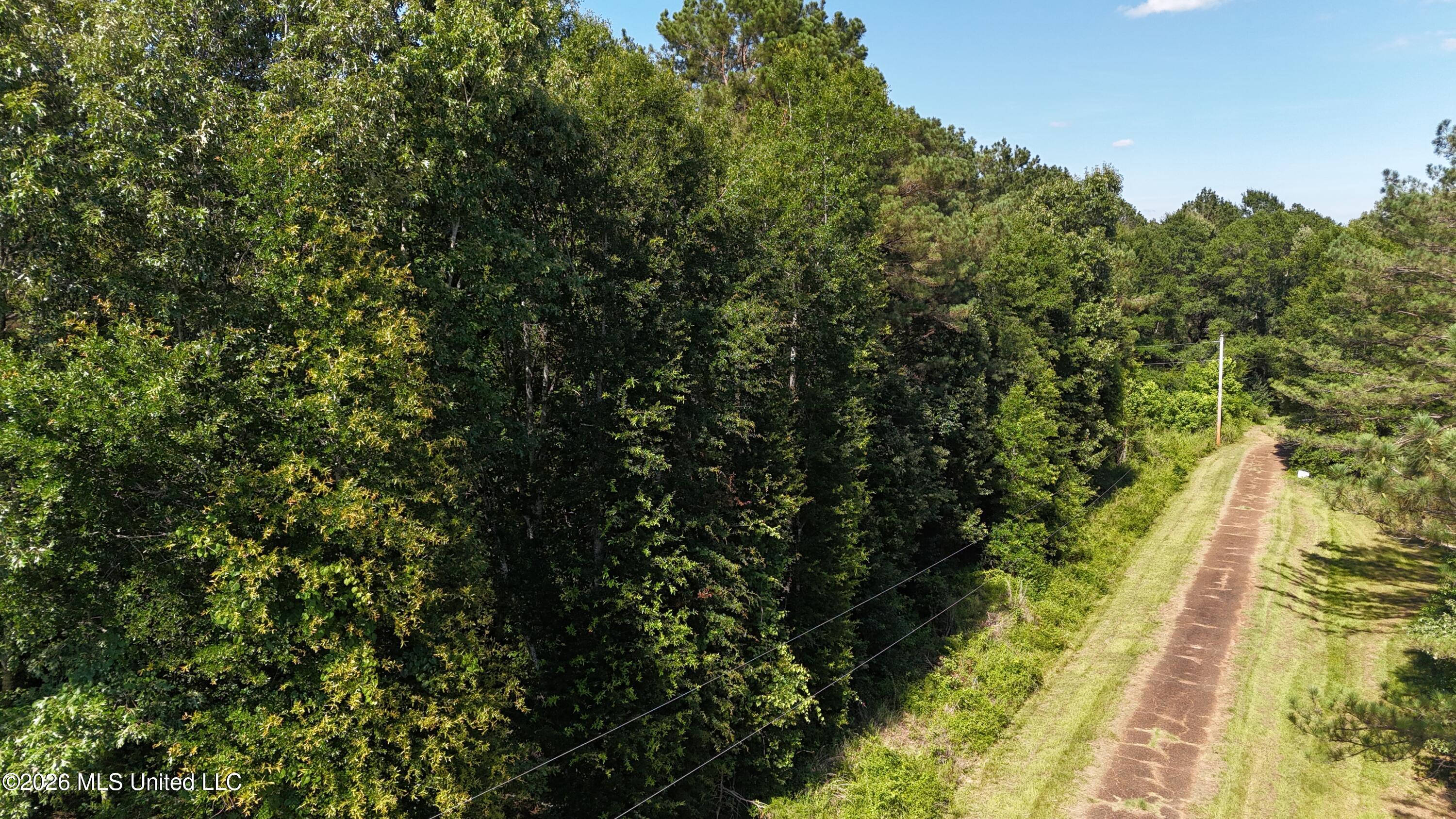 Willow Way Flora, MS 39071 - Photo 10 of 13 dji_fly_20260609_160614_0300_17811115701