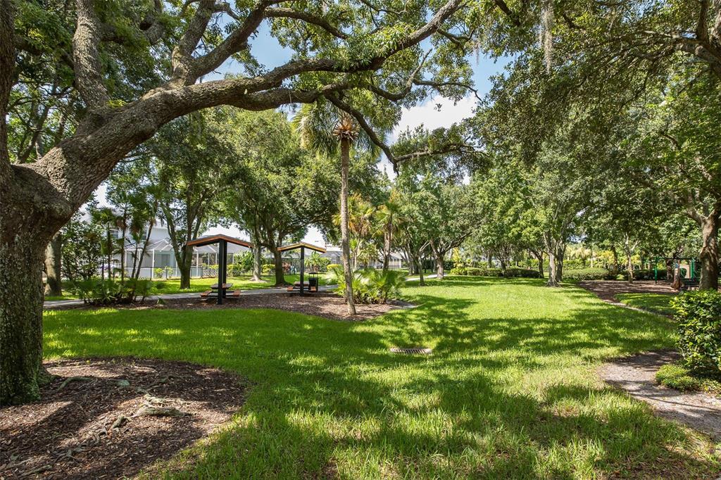 2151 Edelweiss Loop Trinity, FL 34655 - Photo 75 of 78