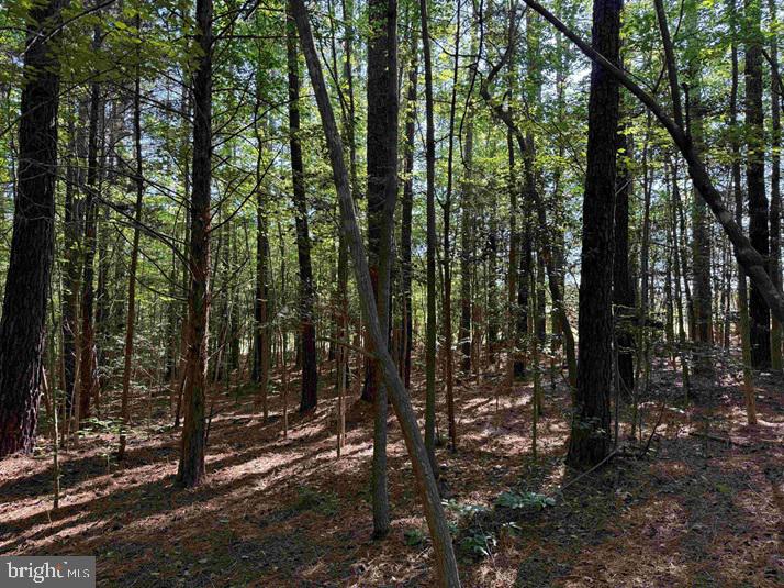 Brandy Creek Road Emporia, VA 23847 - Photo 8 of 15