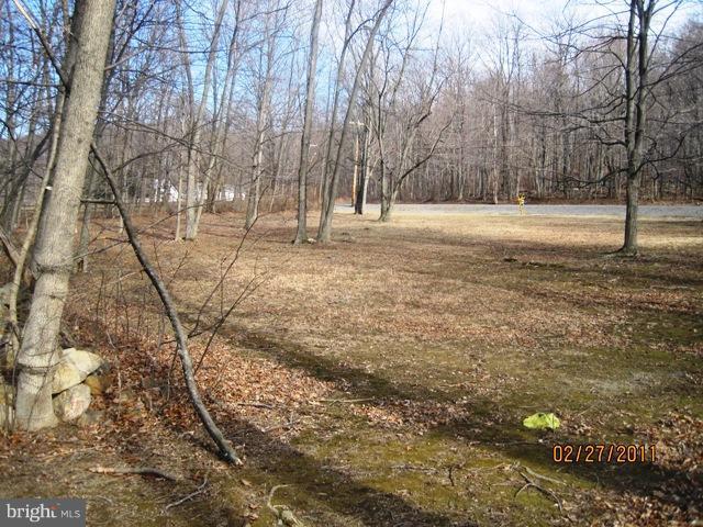 0 Cold Run Valley Road Berkeley Springs, WV 25411 - Photo 1 of 5 Exterior (General)