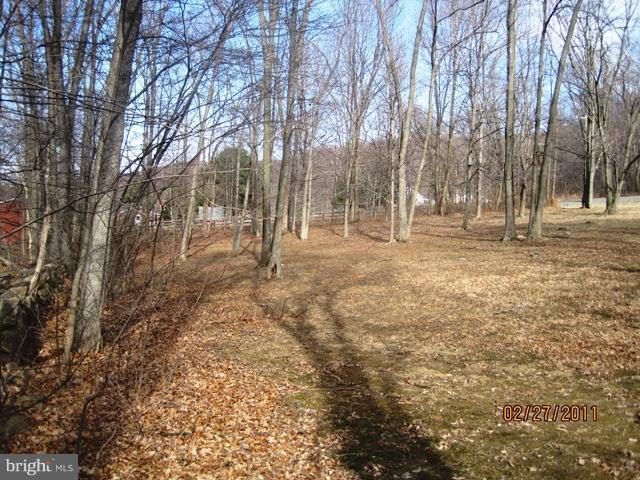0 Cold Run Valley Road Berkeley Springs, WV 25411 - Photo 2 of 5 Exterior (General)
