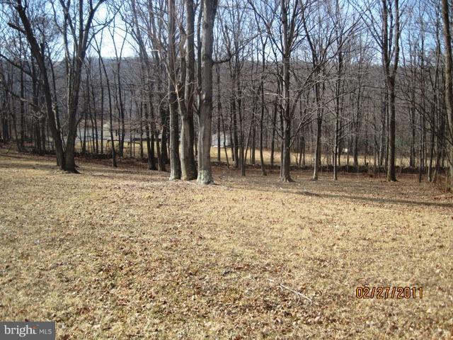 0 Cold Run Valley Road Berkeley Springs, WV 25411 - Photo 4 of 5 Interior (General)