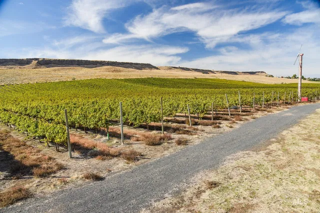 $1 | 73809 Rattlesnake Road, Arlington, OR 97812