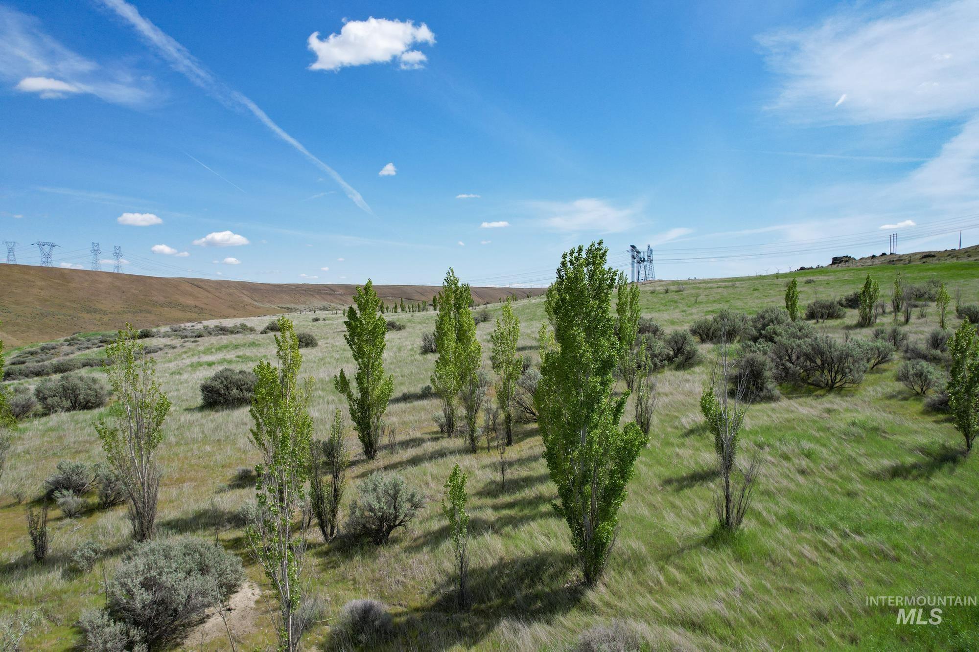 73809 Rattlesnake Road Arlington, OR 97812 - Photo 13 of 27
