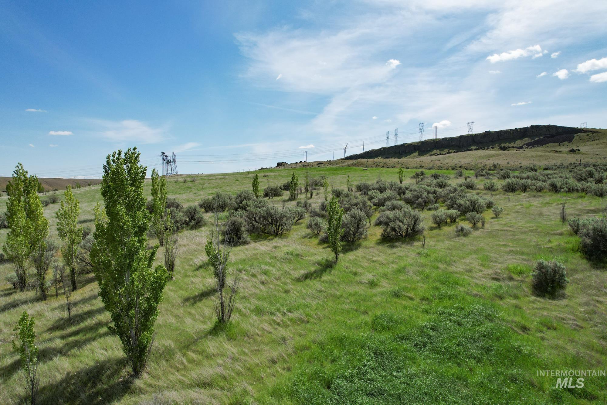 73809 Rattlesnake Road Arlington, OR 97812 - Photo 14 of 27