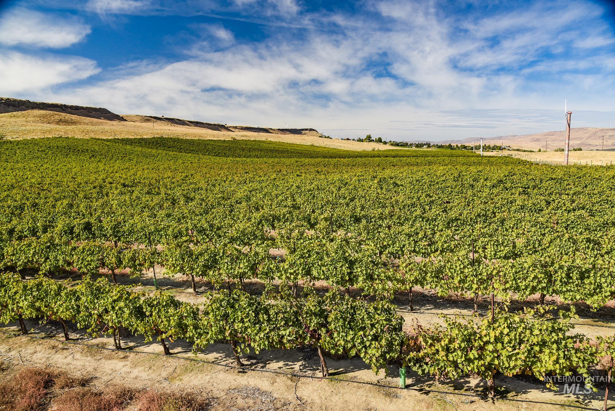 73809 Rattlesnake Road Arlington, OR 97812 - Photo 3 of 13 View of mountain background with abundant farmland and rural landscape