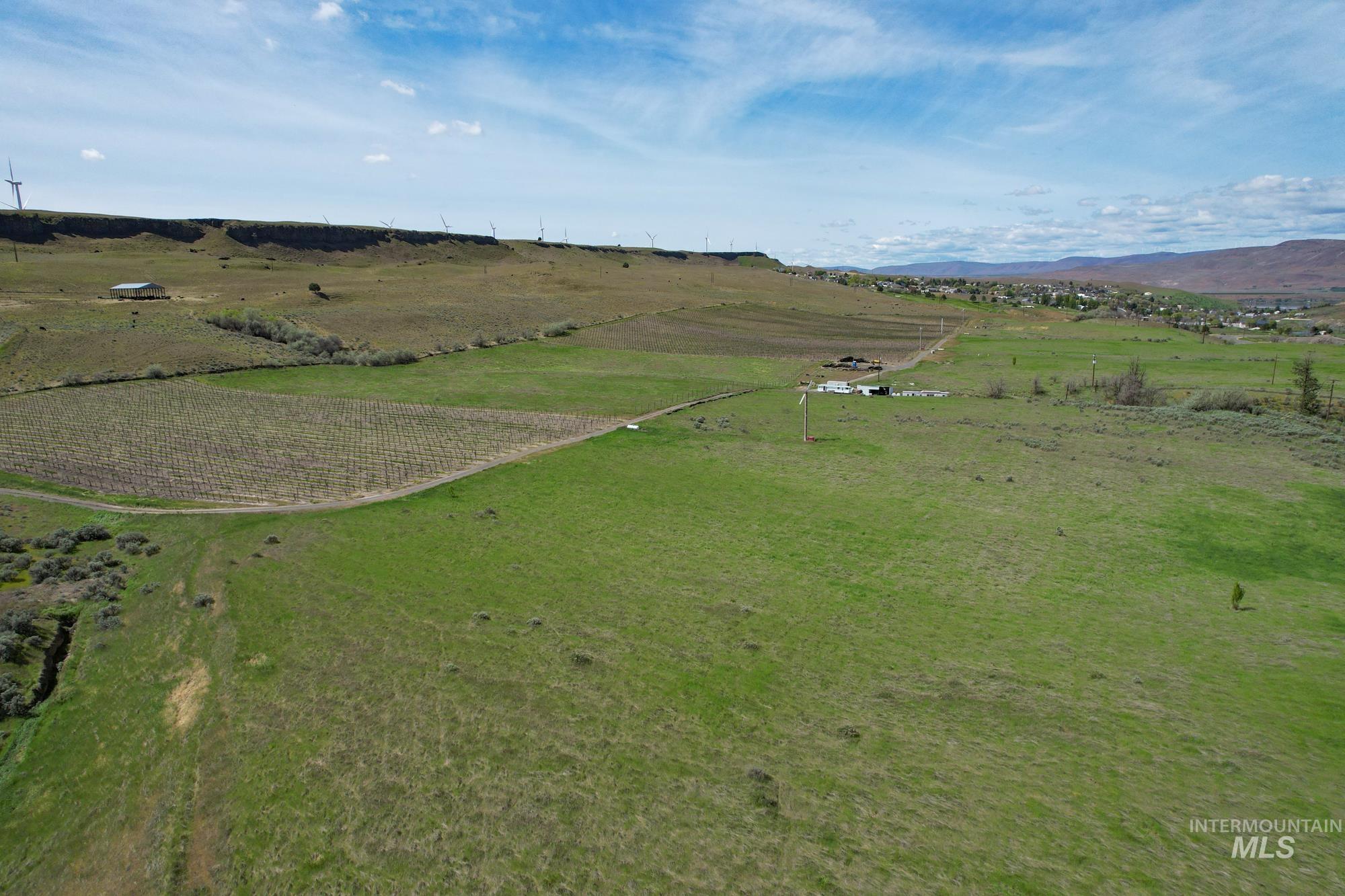 73809 Rattlesnake Road Arlington, OR 97812 - Photo 6 of 27