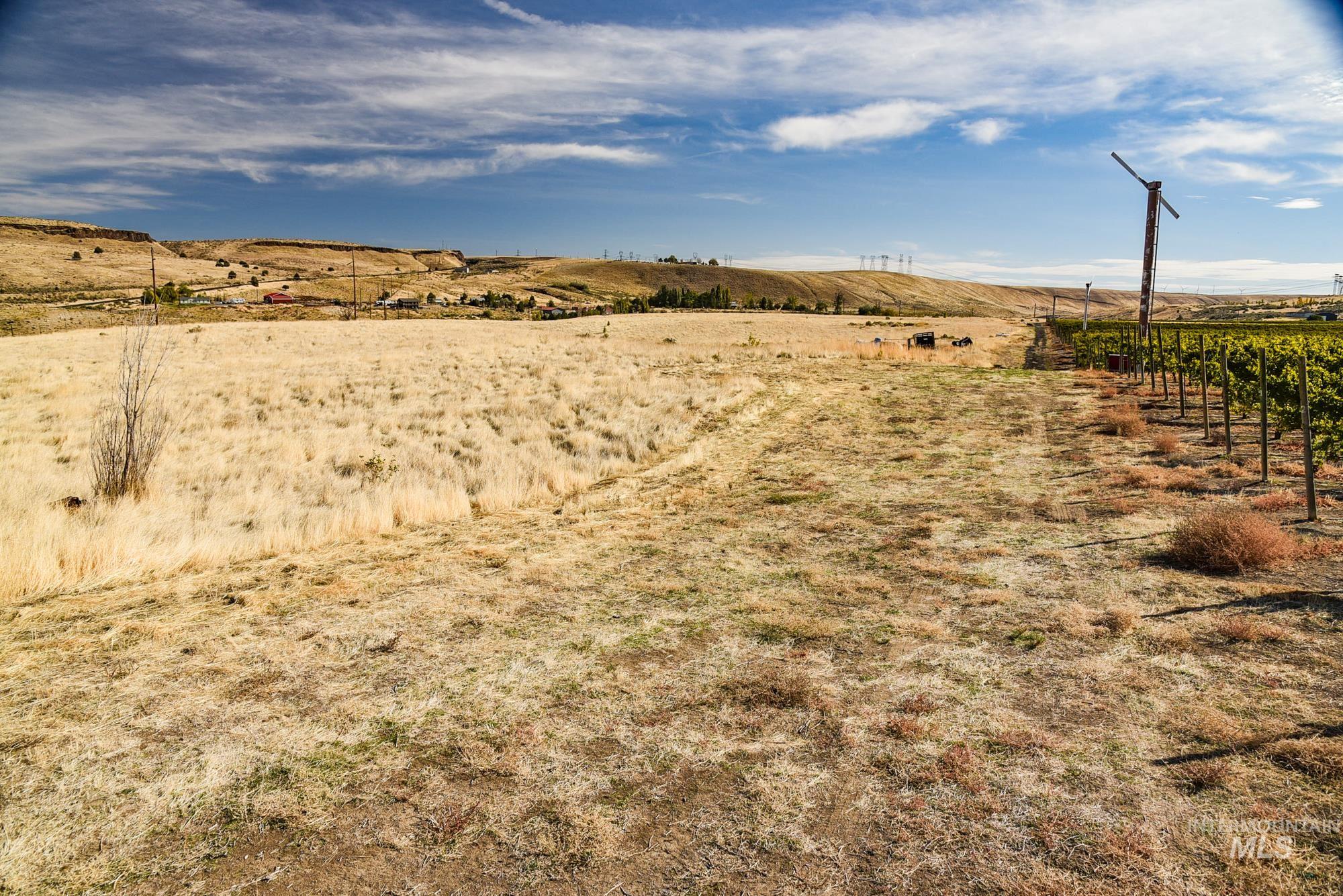 73809 Rattlesnake Road Arlington, OR 97812 - Photo 9 of 13 View of yard featuring a rural view