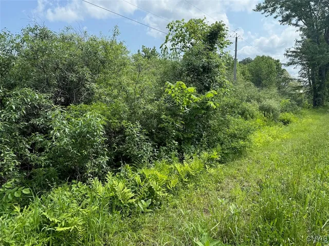 $15,900 | Cobb Drive, Lacona, NY 13083