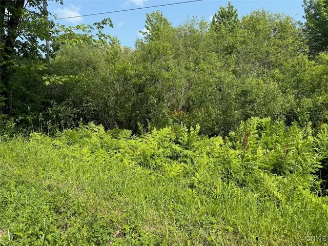 $15,900 | Cobb Drive, Lacona, NY 13083