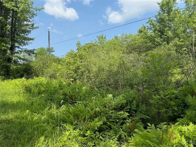 $15,900 | Cobb Drive, Lacona, NY 13083