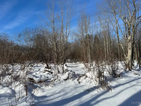 $10,000 | Cobb Drive, Lacona, NY 13083