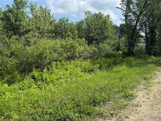 $15,900 | Cobb Drive, Lacona, NY 13083