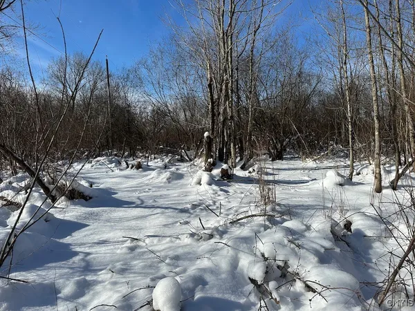 $10,000 | Cobb Drive, Lacona, NY 13083