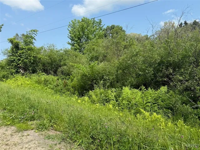 $15,900 | Cobb Drive, Lacona, NY 13083