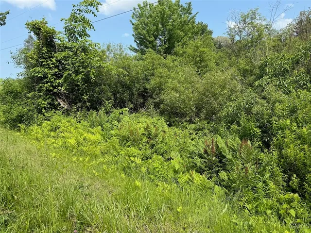 $15,900 | Cobb Drive, Lacona, NY 13083