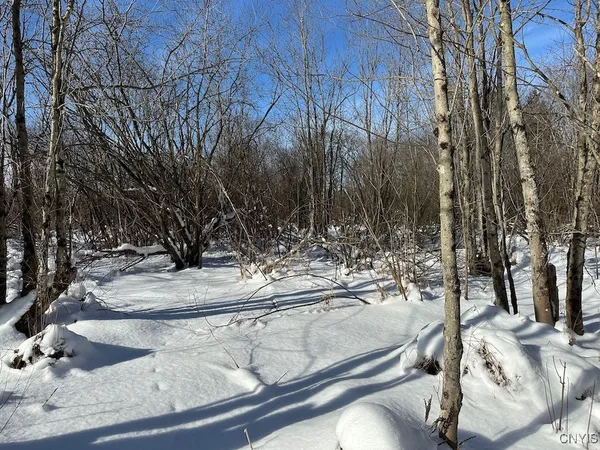 $10,000 | Cobb Drive, Lacona, NY 13083