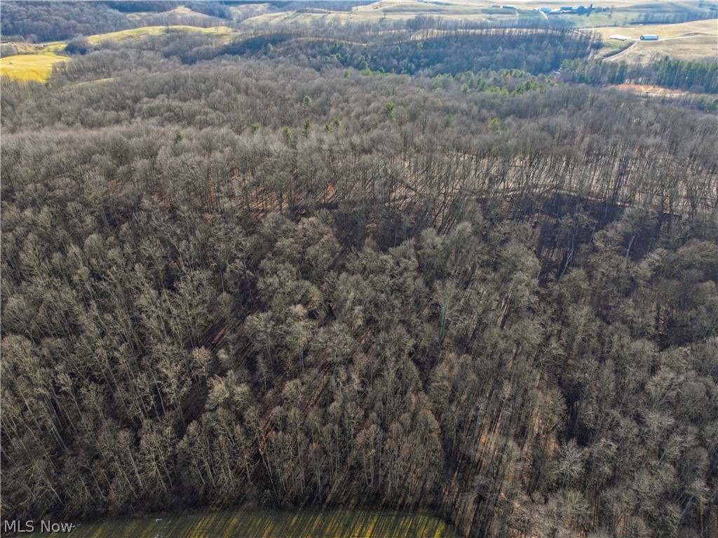 0 Tract 10 Kuhn Road Lewisville, OH 43754 - Photo 20 of 27