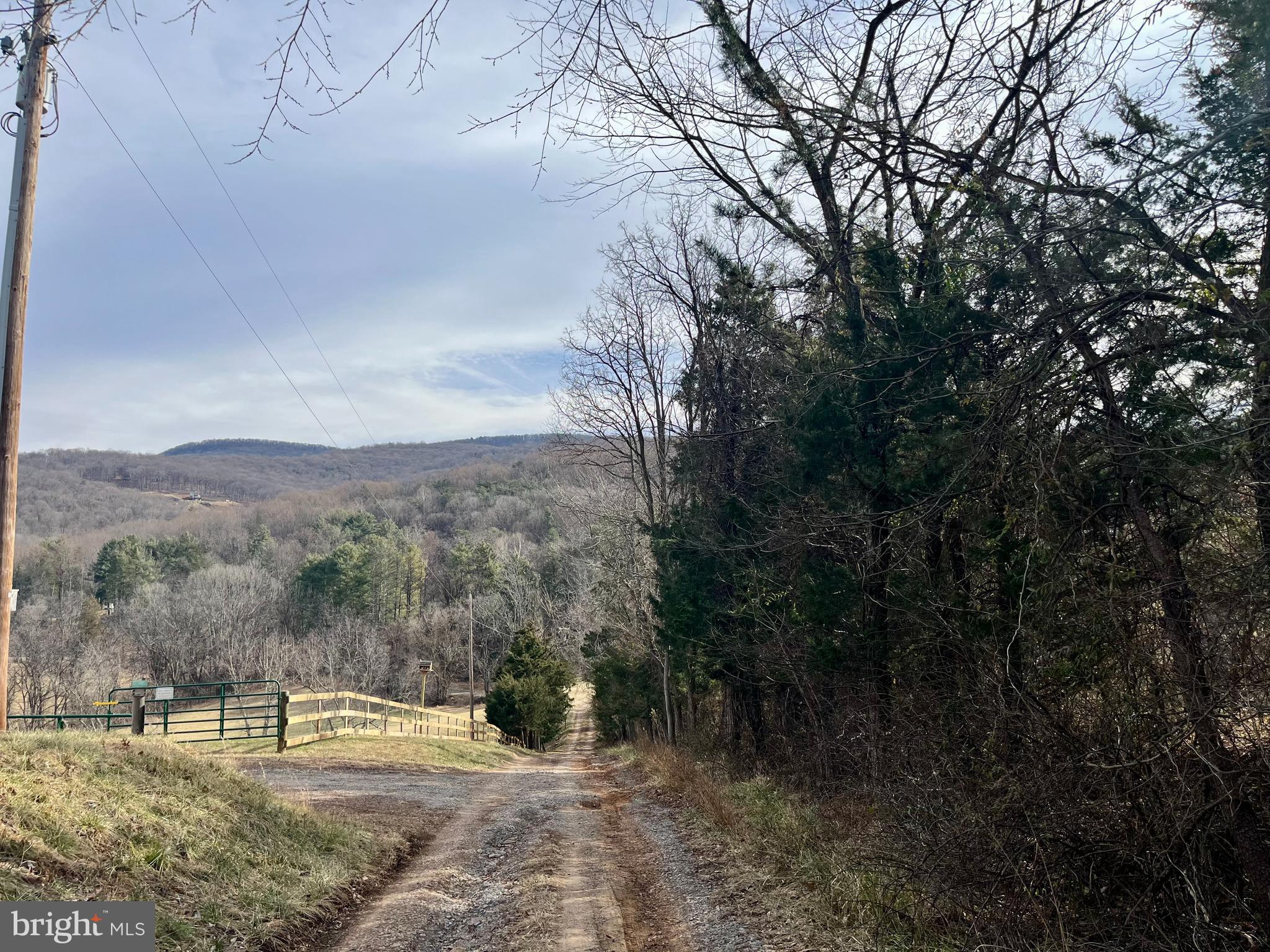 305 Rickard Place Rileyville, VA 22650 - Photo 26 of 27 a view of outdoor space with trees all around