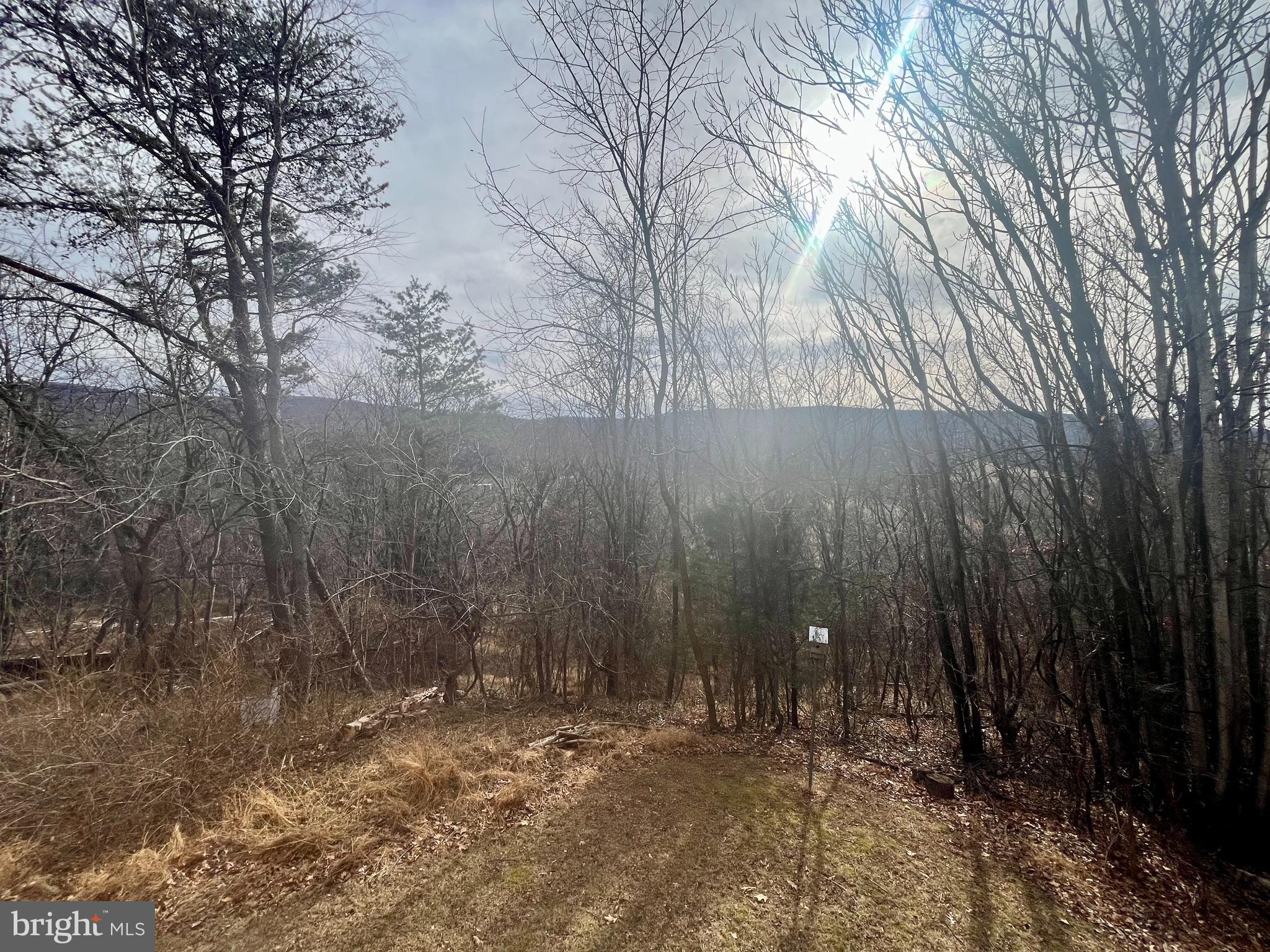 305 Rickard Place Rileyville, VA 22650 - Photo 3 of 27 a view of outdoor space and yard