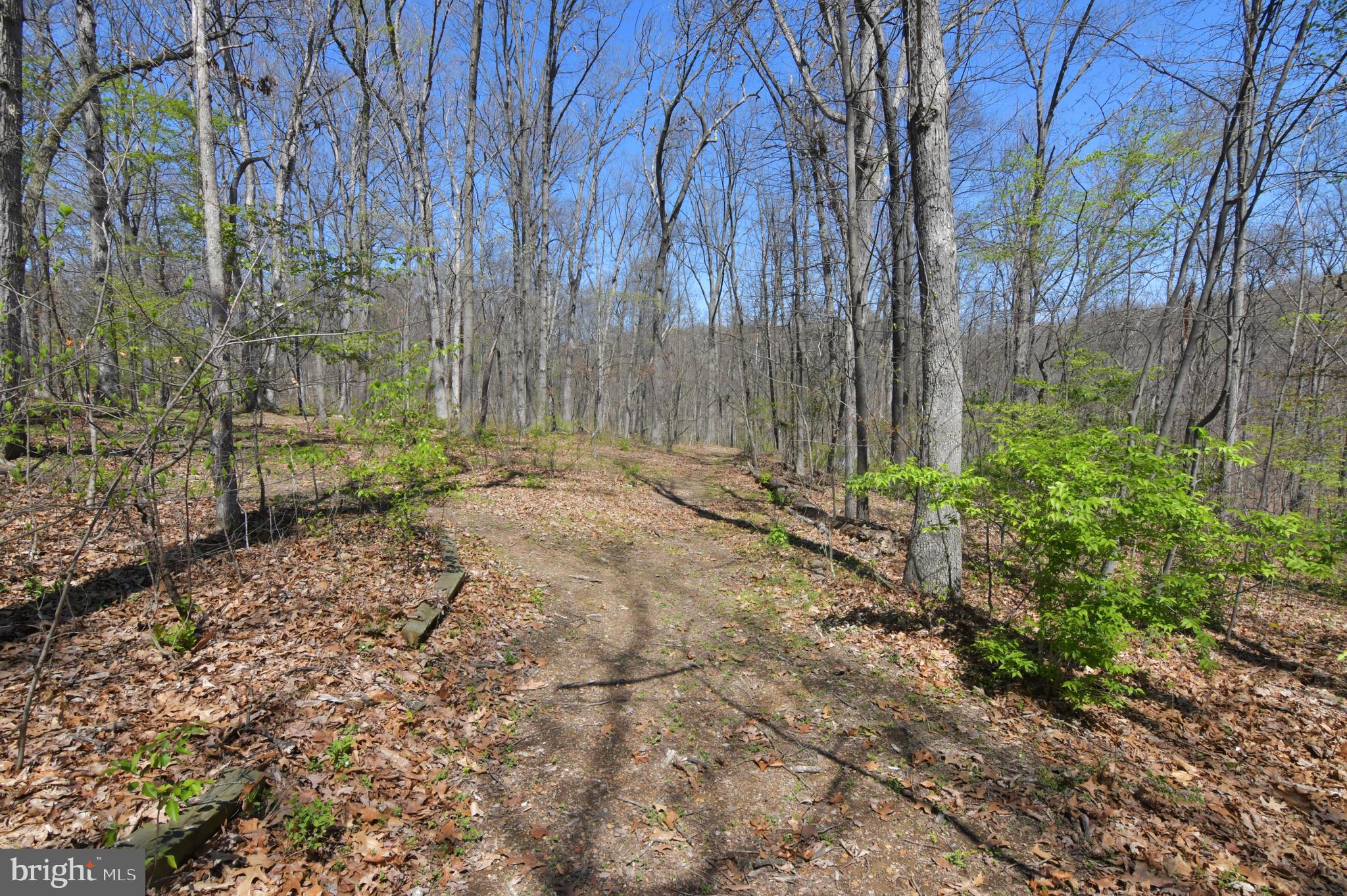 438 Devil's Backbone Overlook Stephenson, VA 22656 - Photo 10 of 66 Path at rear