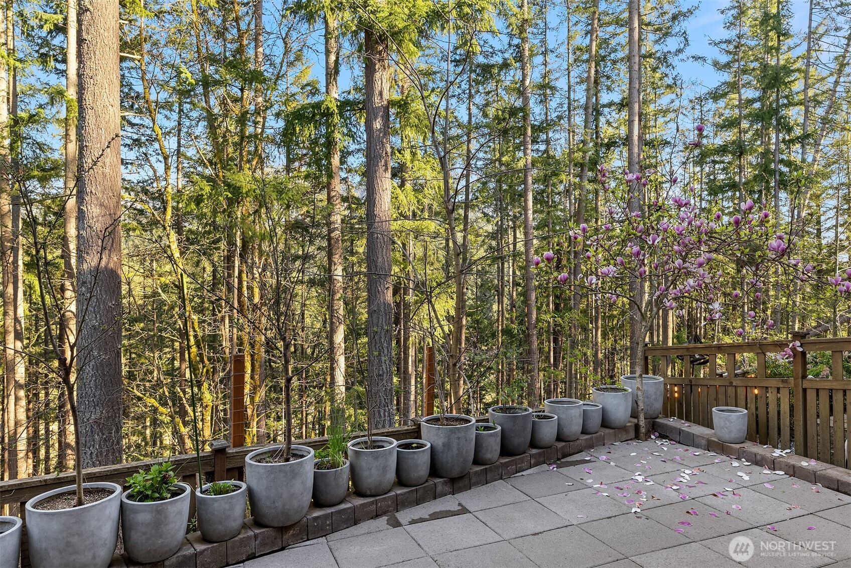 404 6th Lane Northeast Issaquah, WA 98029 - Photo 35 of 38